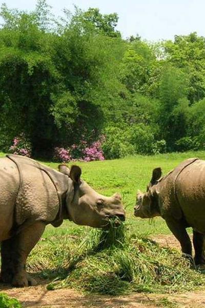 Assam State Zoo cum Botanical Garden