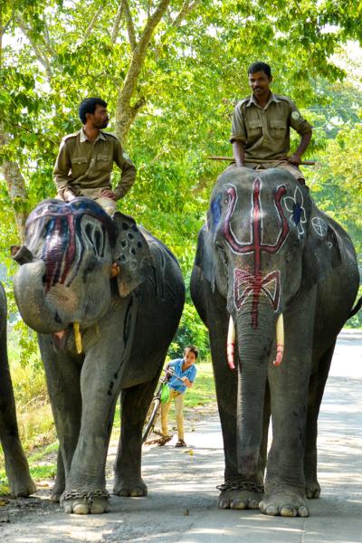 Kaziranga National Park