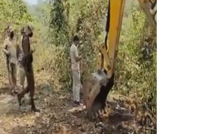 pregnent elephant killed in Topatali