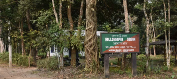 Hoollongapar Gibbon Sanctuary