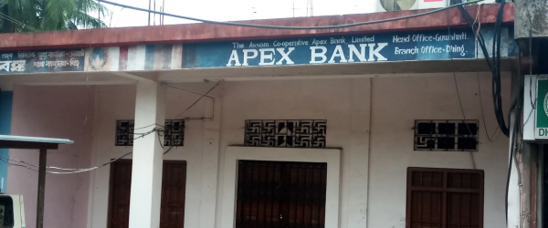 Apex bank scam
