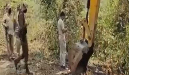 pregnent elephant killed in Topatali